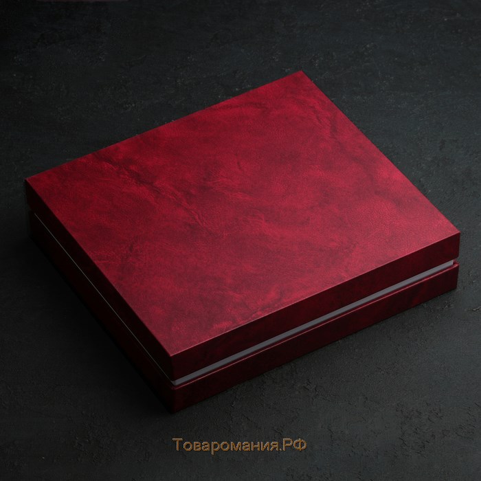 Набор столовый «Торжество», 24 предмета, толщина 2 мм, декоративная коробка, цвет серебряный