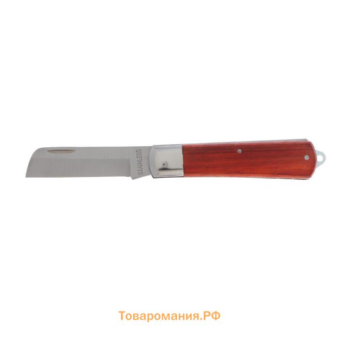 Нож универсальный складной ТУНДРА, деревянная рукоятка, прямое лезвие, нержавеющая сталь
