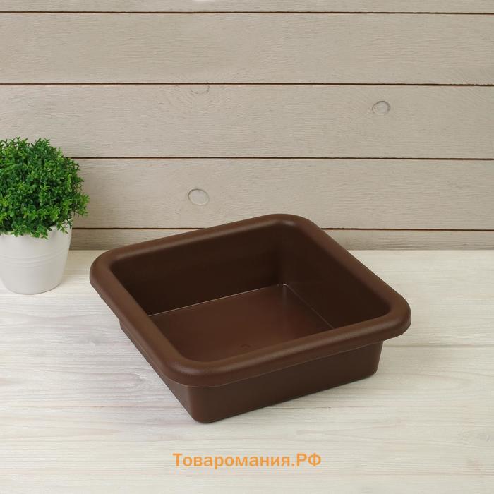 Ящик для рассады, 23.5×23.5×7 см, 3 л, пластик, цвет МИКС