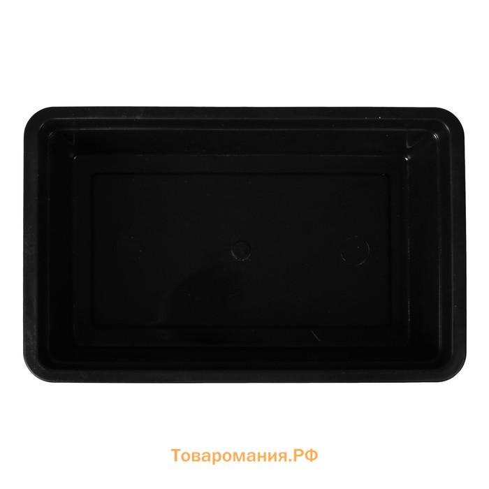 Ящик для рассады, 40×25×10 см, 5 л, пластик, цвет МИКС, «Урожай-4 М»