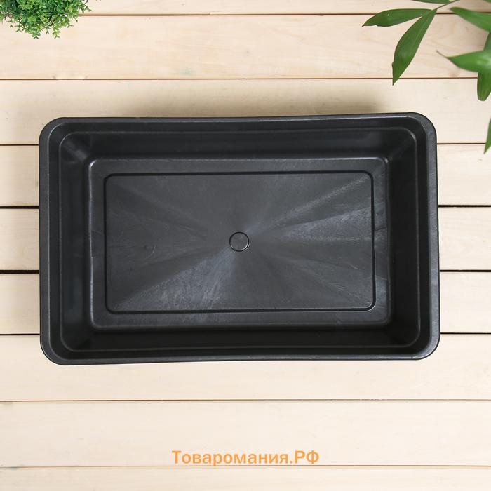 Ящик для рассады, 40×25×10 см, 5 л, пластик, цвет МИКС, «Урожай-4 М»