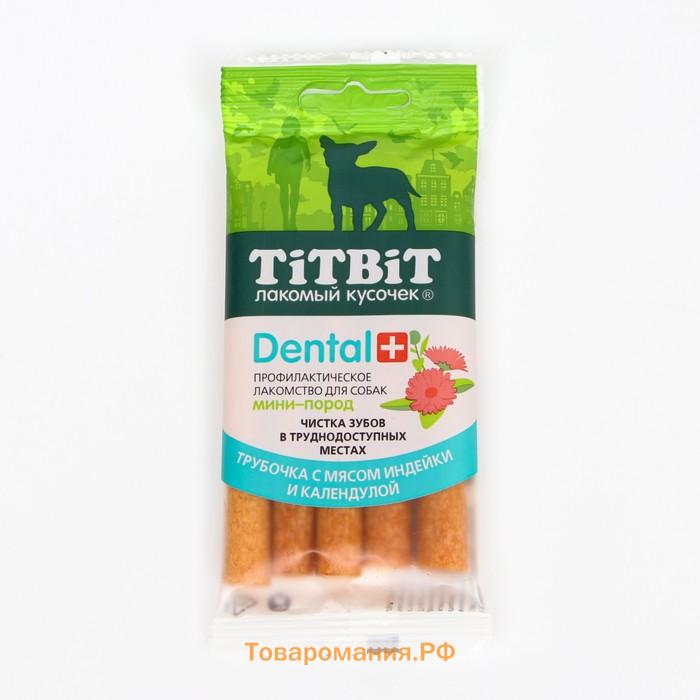 ДЕНТАЛ+ Трубочка  для собак Titbit для мини-пород, с мясом индейки 20 г