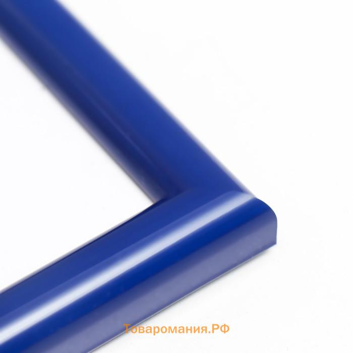 Фоторамка пластик Gallery 21х29,7 см, (A4) синий (пластиковый экран)