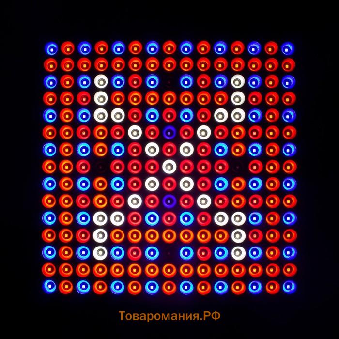 Фитопанель светодиодная, 36 Вт, 31 × 31 × 1,2 см, полный спектр