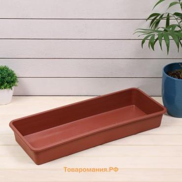 Ящик для рассады, 53×21.5×7.2 см, 7.5 л, пластик, МИКС