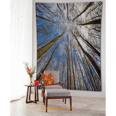 Декоративное панно с фотопечатью «Лесные облака», вертикальное, размер 100х150 см