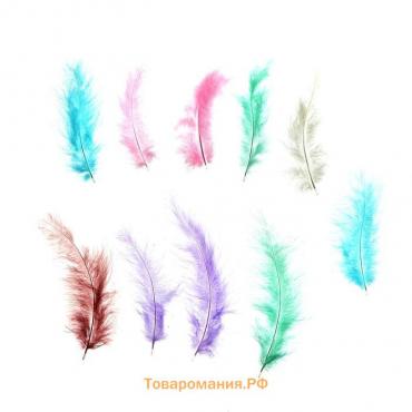 Набор перьев для декора, набор 10 шт., размер 1 шт: 10×2 см, цвета пудровые МИКС