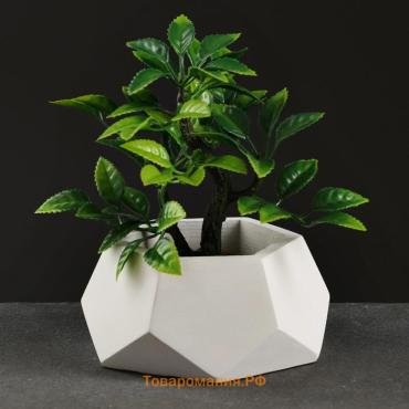 Фигурное кашпо "Шестигранник" 11,5х11,5х5,5см