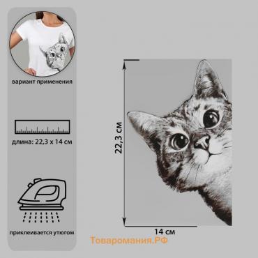 Термотрансфер «Любопытный кот», 14 × 22,3 см, цена за 1 штуку