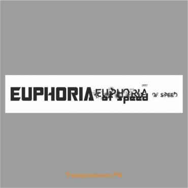 Полоса на лобовое стекло "EUPHORIA", белая, 1220 х 270 мм