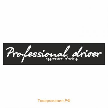 Полоса на лобовое стекло "Professional driverf"черная 1220 х 270 мм