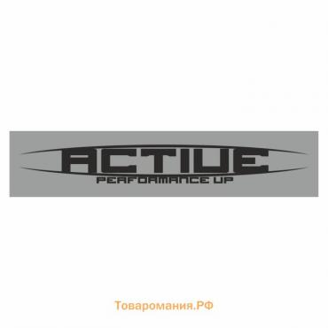 Полоса на лобовое стекло "ACTIVE", серебро, 1300 х 170 мм