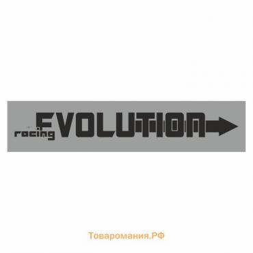 Полоса на лобовое стекло "EVOLUTION", серебро, 1300 х 170 мм