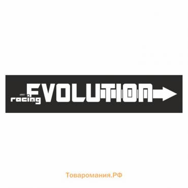 Полоса на лобовое стекло "EVOLUTION", черная, 1300 х 170 мм