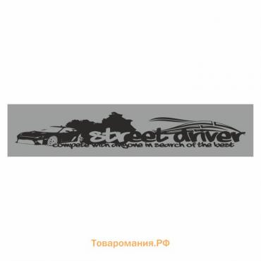 Полоса на лобовое стекло "Street driver", серебро, 1300 х 170 мм