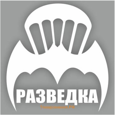 Наклейка "Эмблема Разведка", плоттер, 100 х 100 мм, белая